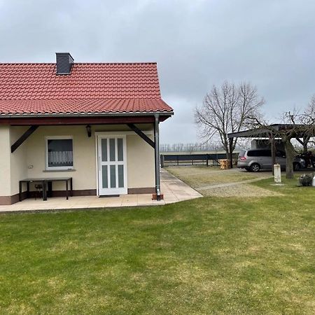 Ferienhaus Altenhof Mueritz Exteriör bild